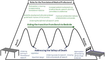 The Translational Medicine Professional: A Bridge Between Bench and Bedside?